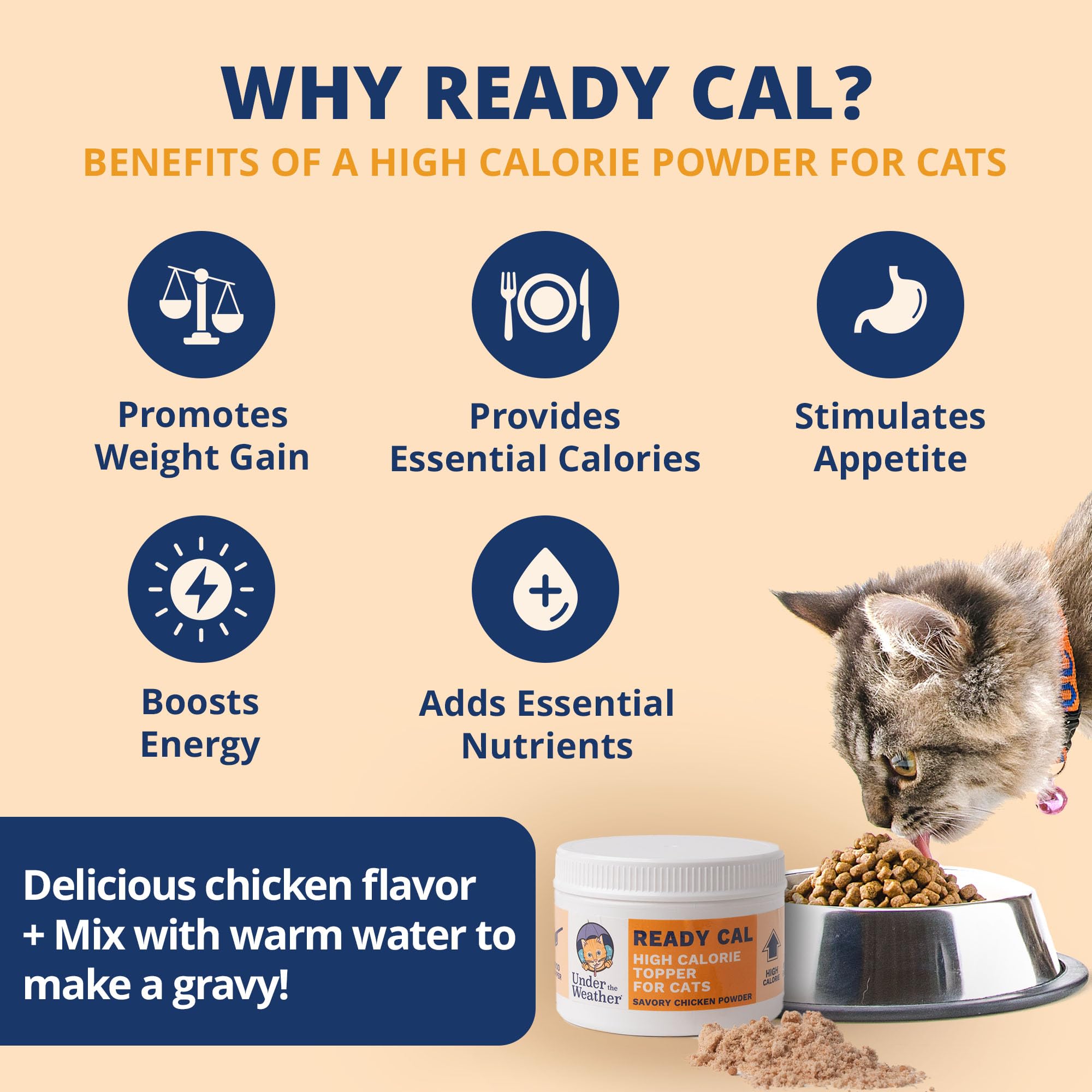 Ready Cal powder scoop beside cat food bowl to boost calories.
