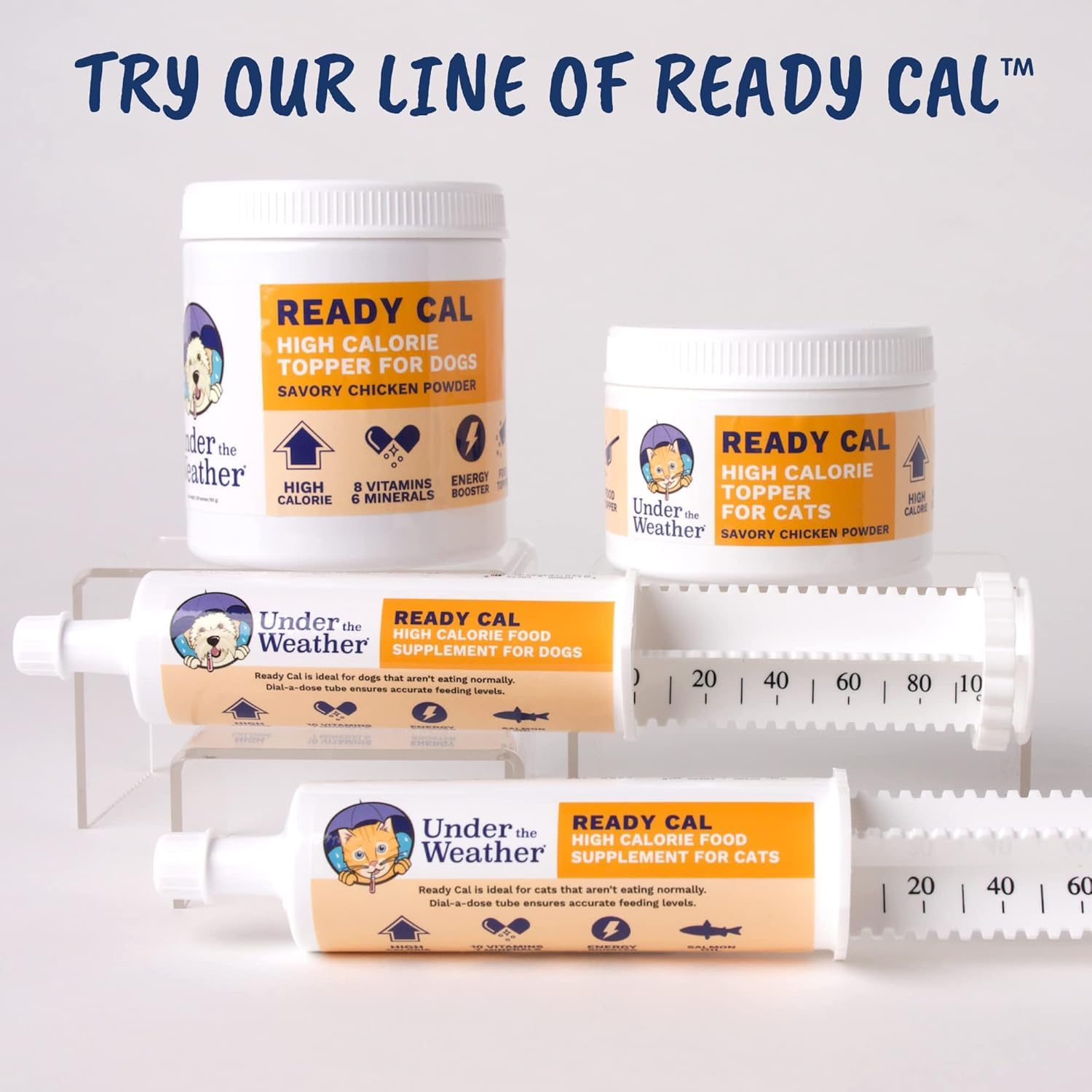 Senior cat benefits from Ready Cal powder support.