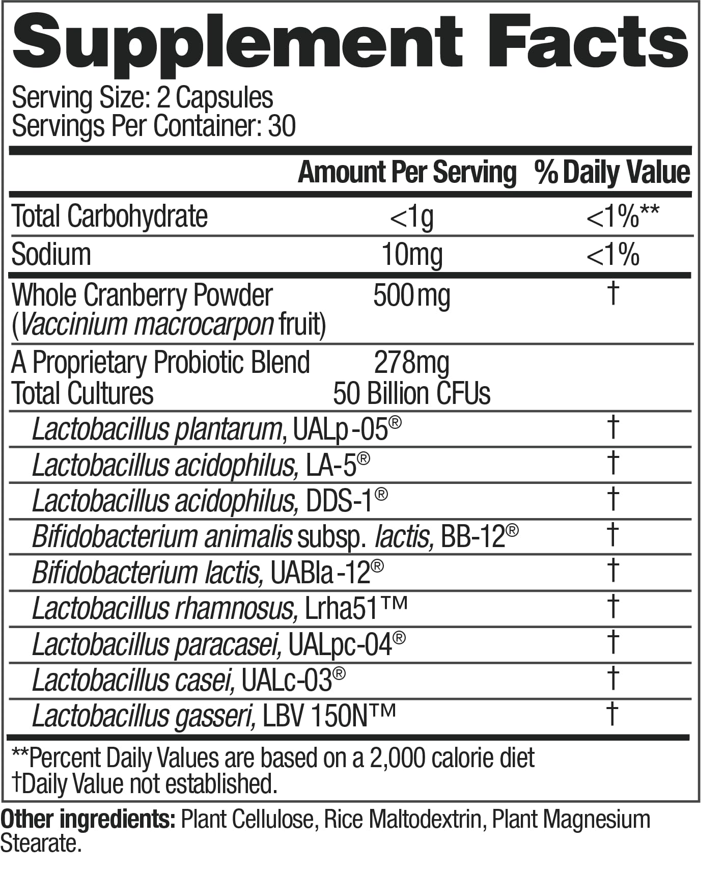 up4 Women's probiotic capsules close-up shows capsule texture