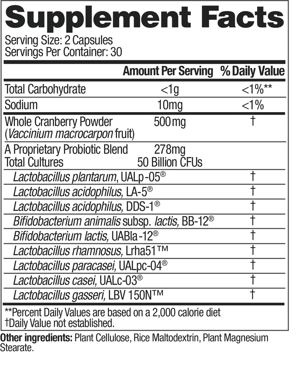 up4 Women's probiotic capsules close-up shows capsule texture