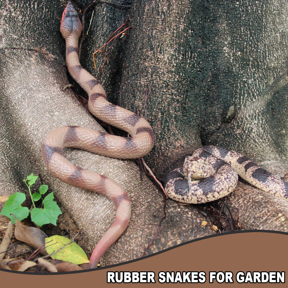 Upitry rubber snakes on a desk adding playful flair to an office