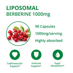 UpNourish berberine capsules 90-count for easy daily routine.