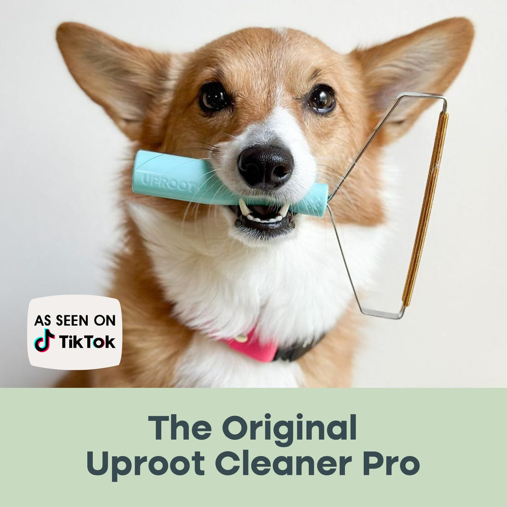 Uproot Cleaner Pro reusable design highlights eco-friendly cleaning.