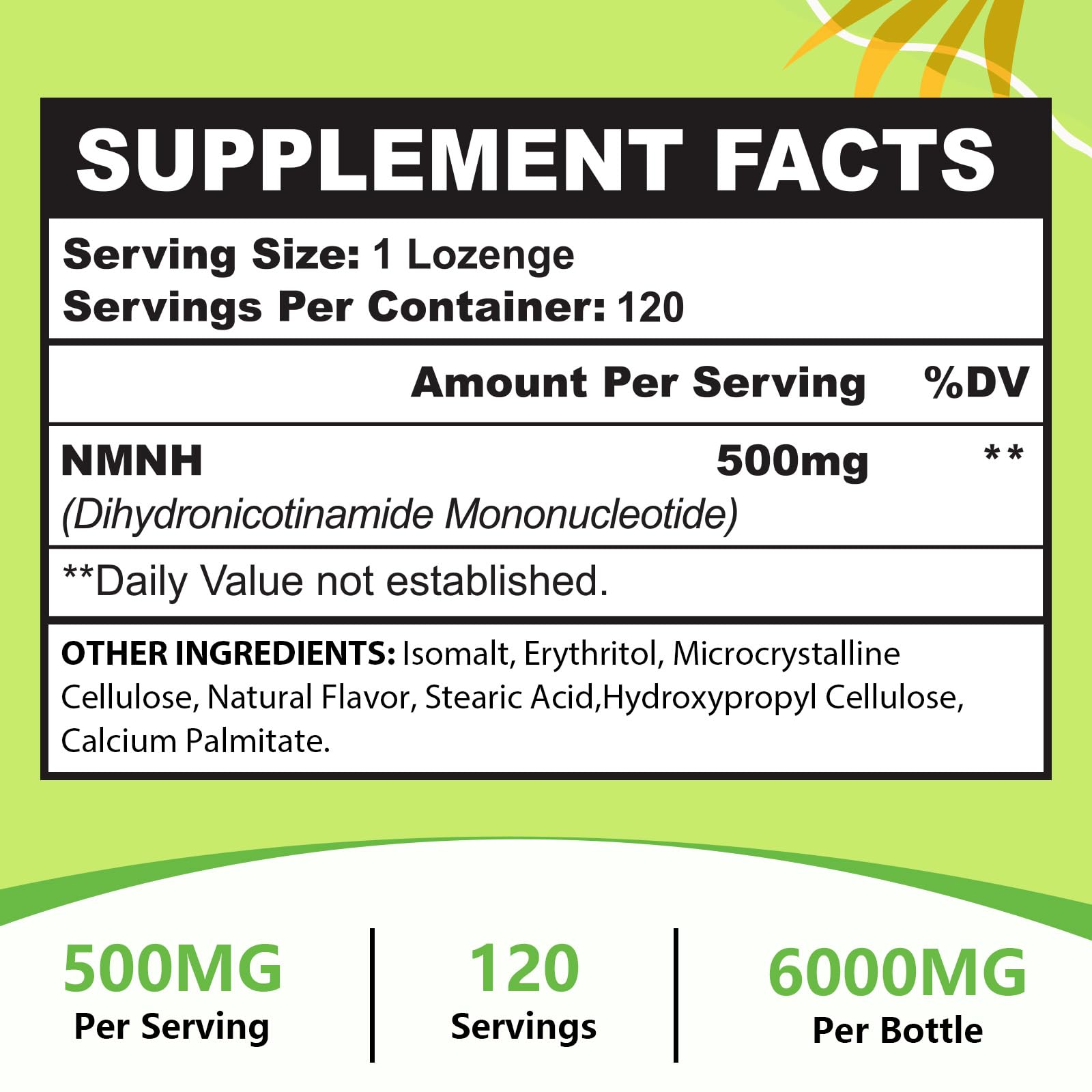 Ursinquil NMNH ingredients showing high-purity formula