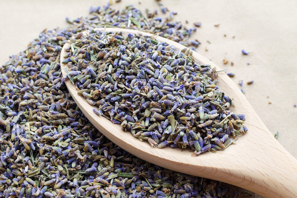 US Wellness Naturals lavender aroma closeup, inviting soothing sensory experience.