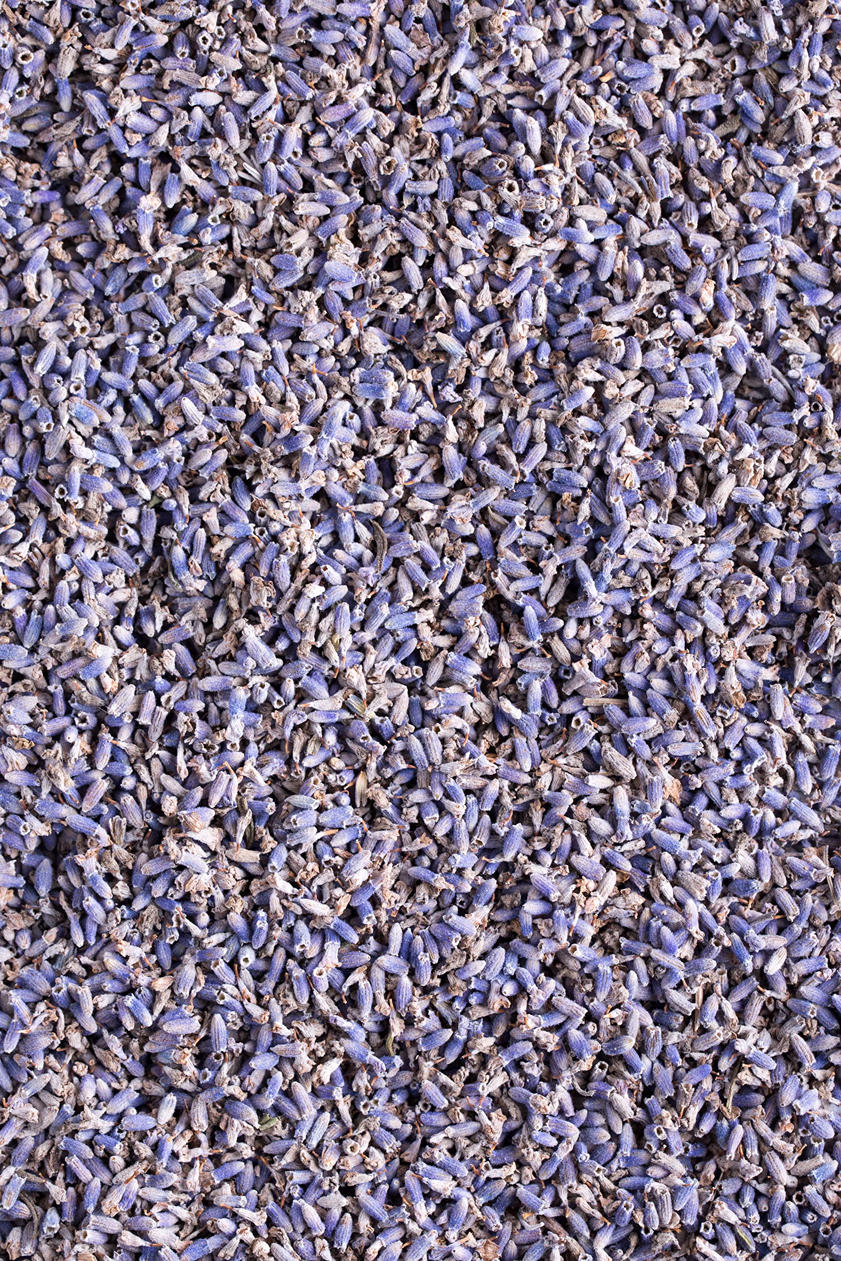 US Wellness Naturals lavender flowers Albania field, perfect for herbal blends.