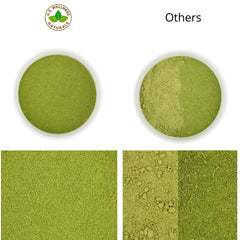 Raw moringa leaves from India turned into fine powder.