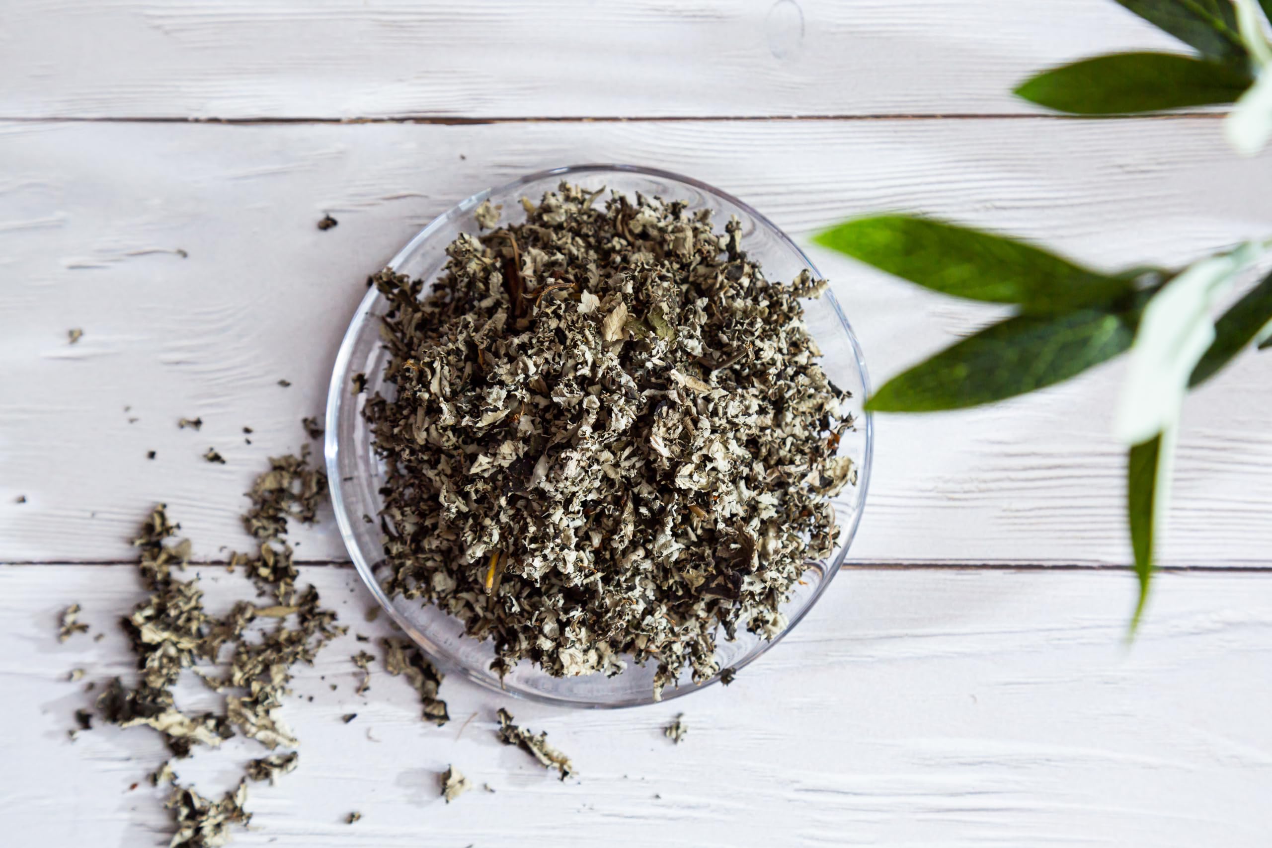 Tea steeping in a cup reveals a warm, amber-hued infusion from US Wellness Naturals.