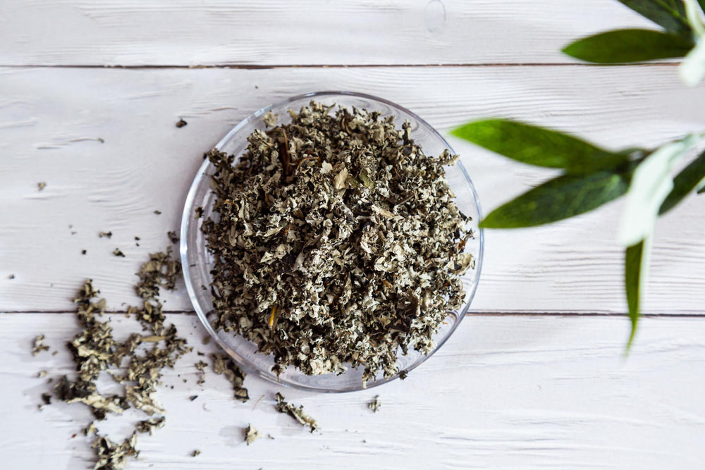 Tea steeping in a cup reveals a warm, amber-hued infusion from US Wellness Naturals.