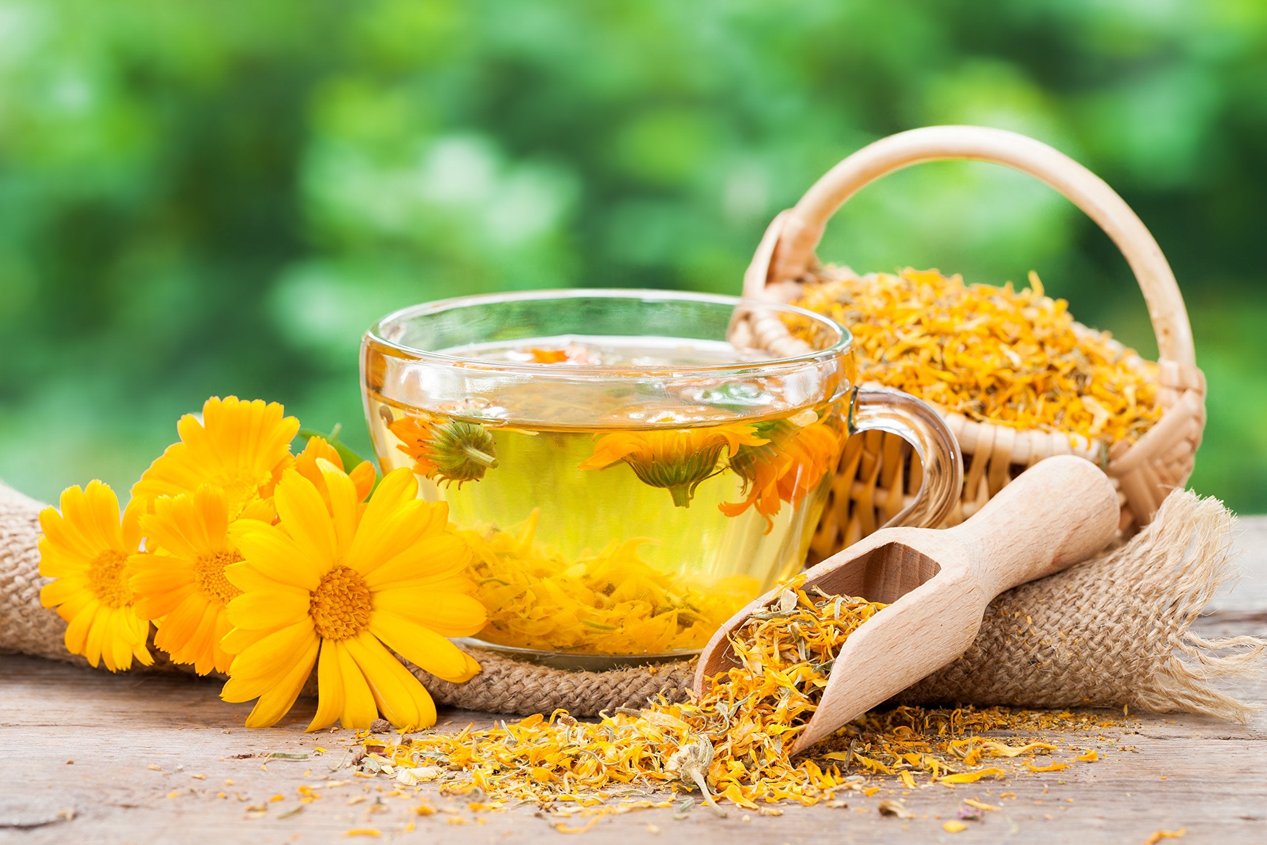 US Wellness Naturals Calendula Tea steeped cup for a gentle, calming moment