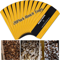 USKICH 20 Pack Roach Traps placed indoors under the sink for effective containment.