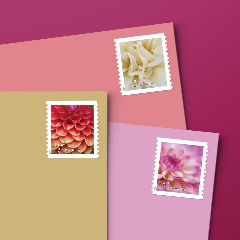 USPS Dahlias Forever pink dahlia close-up highlights vibrant color for invitations