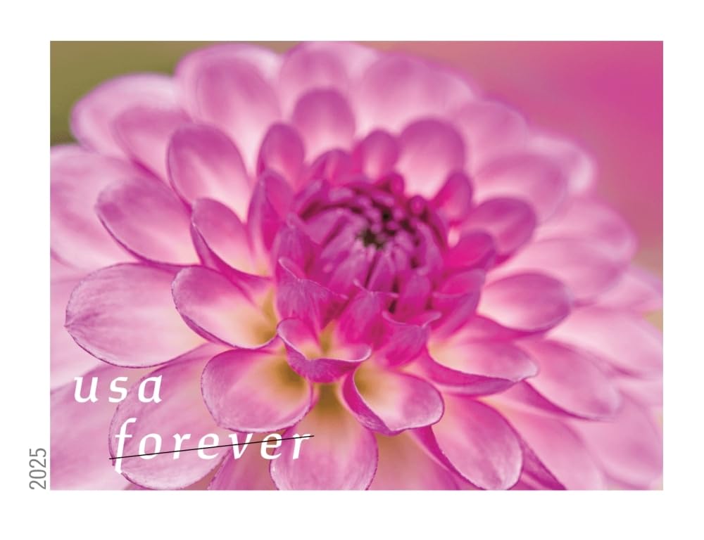 USPS Dahlias Forever red dahlia close-up offers bold mail visuals