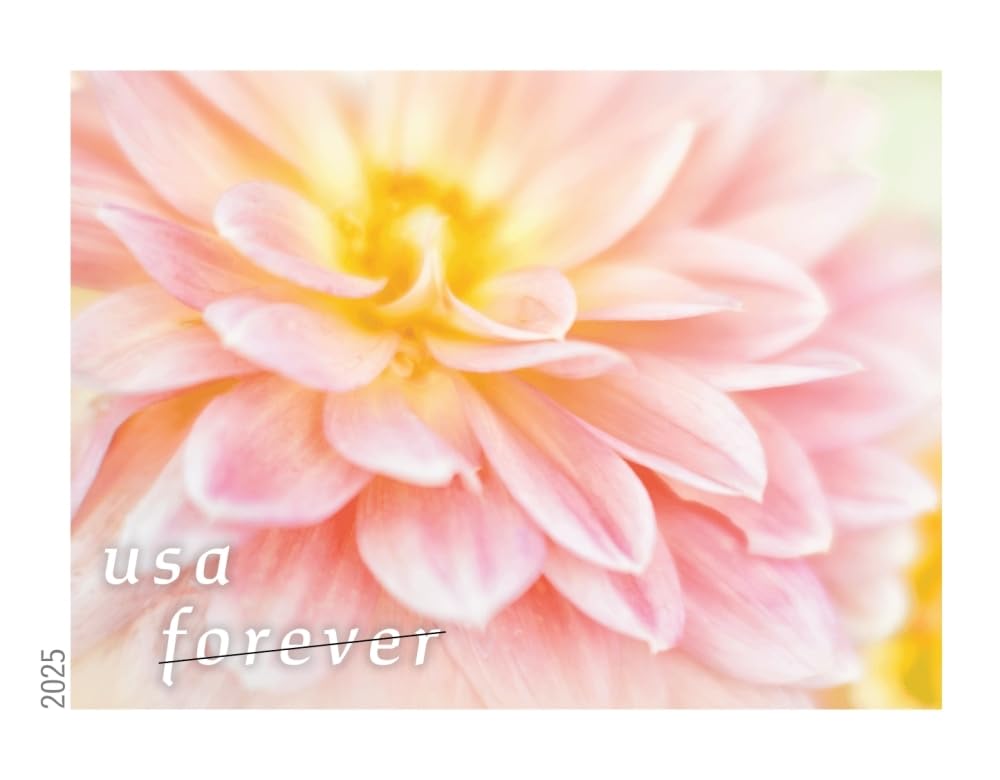 USPS Dahlias Forever stamps variety of blooms showcases diverse colors and shapes.