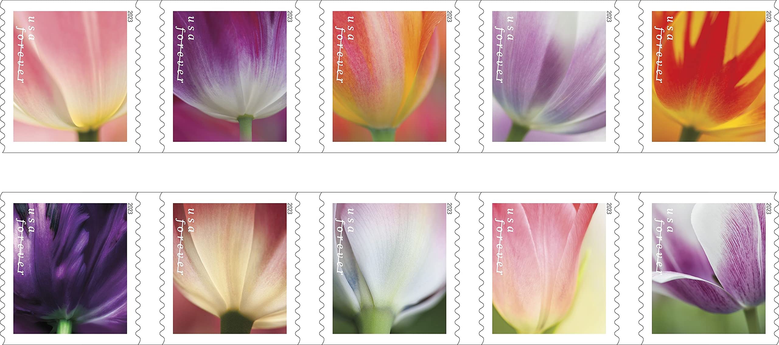 USPS First-class mail stamp featuring tulip motif for cards