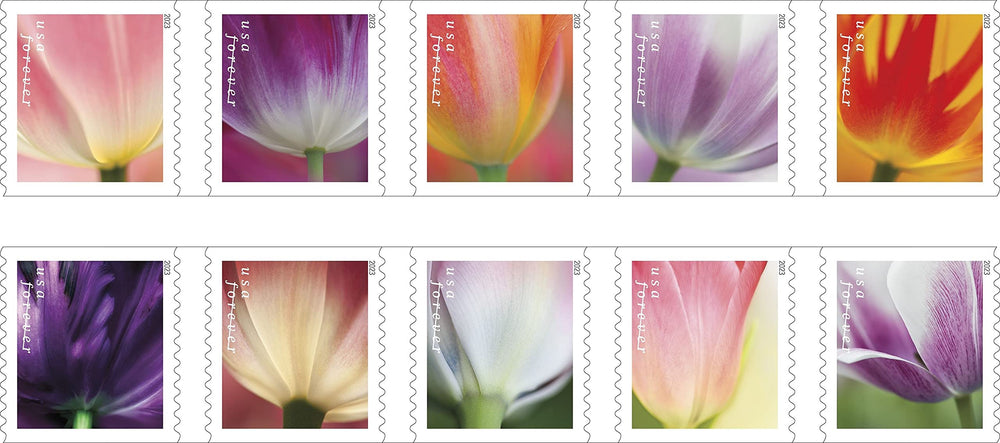 USPS First-class mail stamp featuring tulip motif for cards