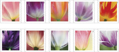 USPS First-class mail stamp featuring tulip motif for cards