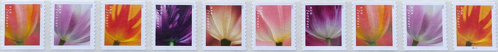 USPS Tulip Blossom Forever stamp 10-count strip for reliable first-class mail