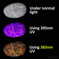 uvBeast V3 365nm filter delivers pure UV with reduced visible light