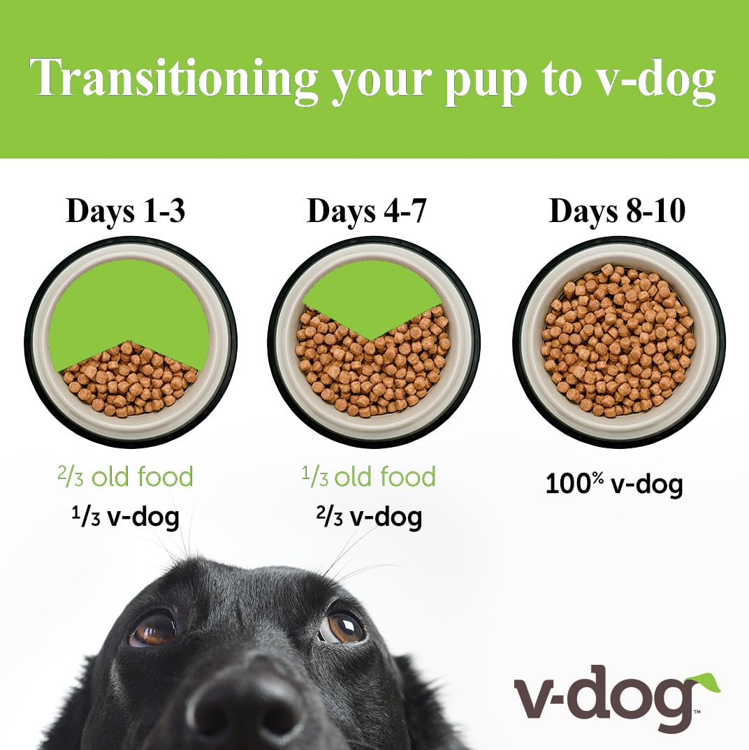 V-dog dog enjoys kibble, highlighting texture and palatability.