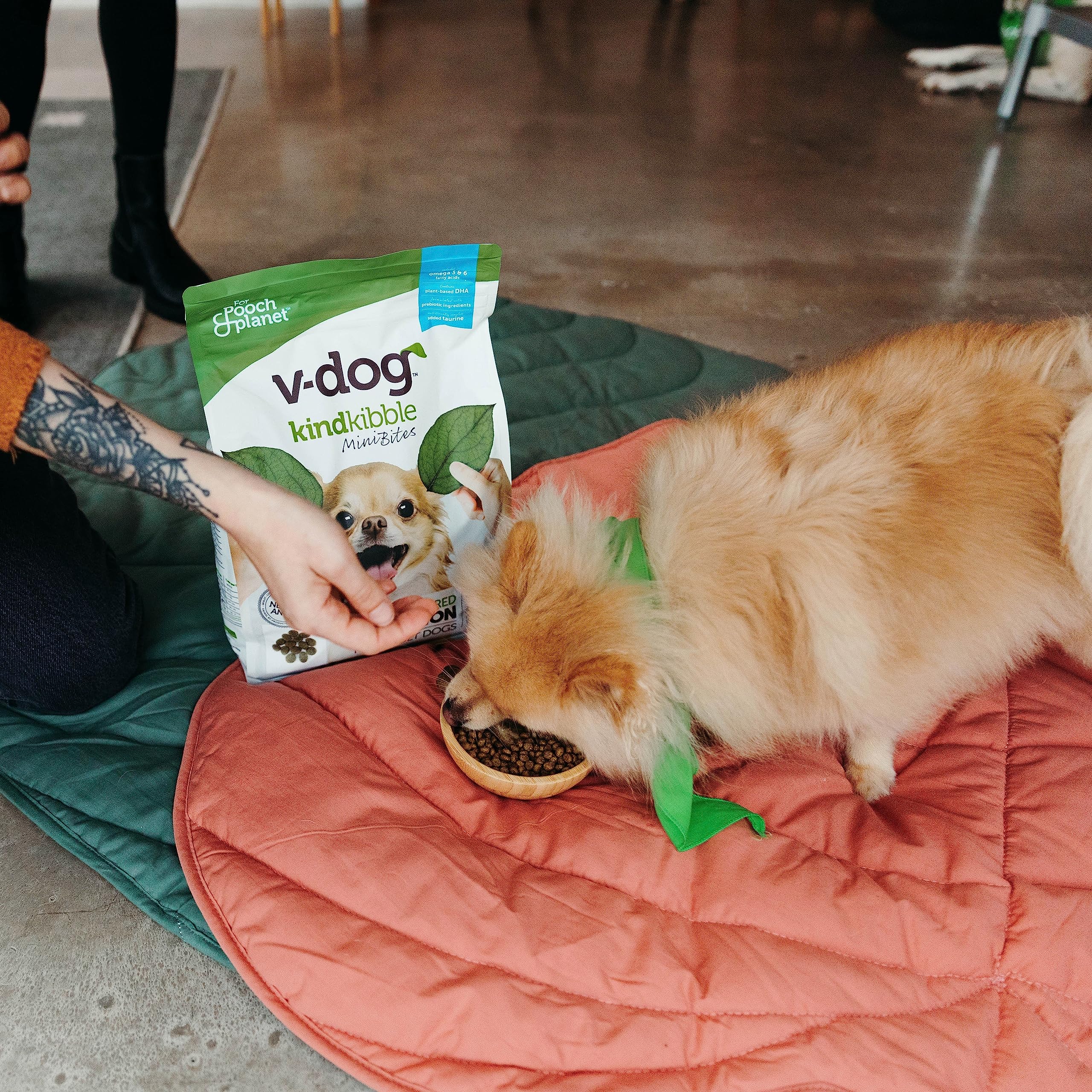 V-dog small-breed serving bowl with easy-to-pick kibble.