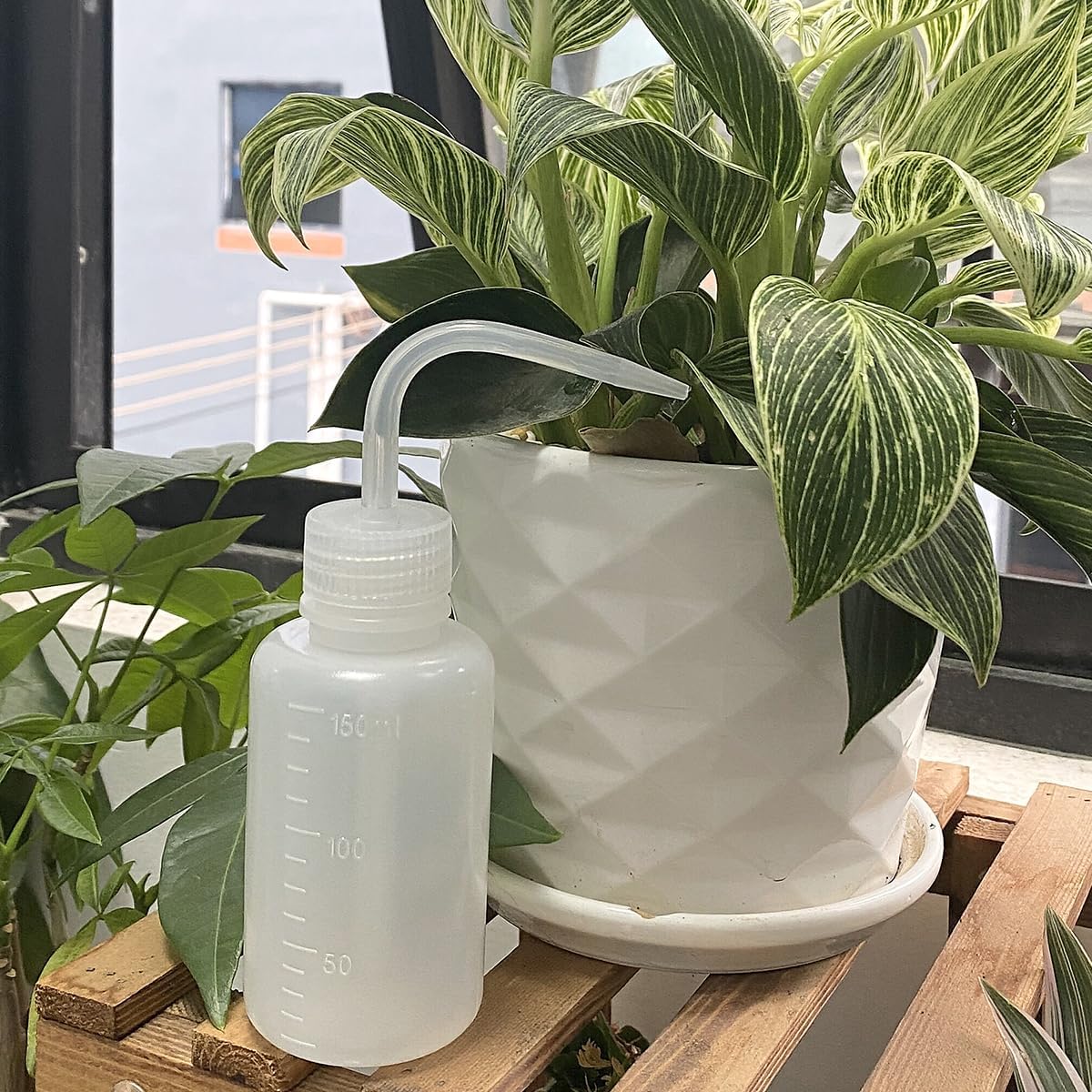 Valchoose compact bottle suits plant watering and small studio tasks.
