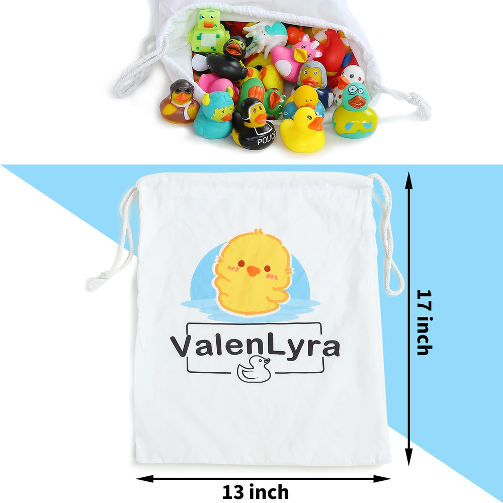 ValenLyra 13x17 bag neatly stores all 100 ducks.