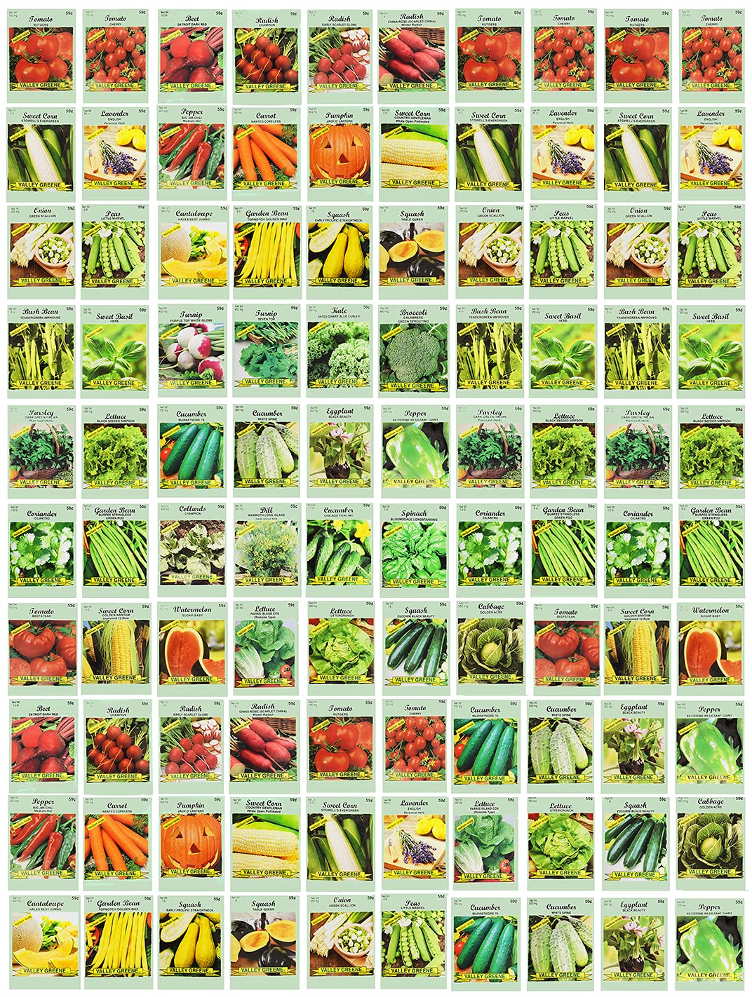 Valley Greene 100-pack heirloom seeds in a colorful seed pack for a thriving backyard garden.