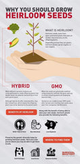 Valley Greene non-GMO seeds promote authentic heirloom harvests