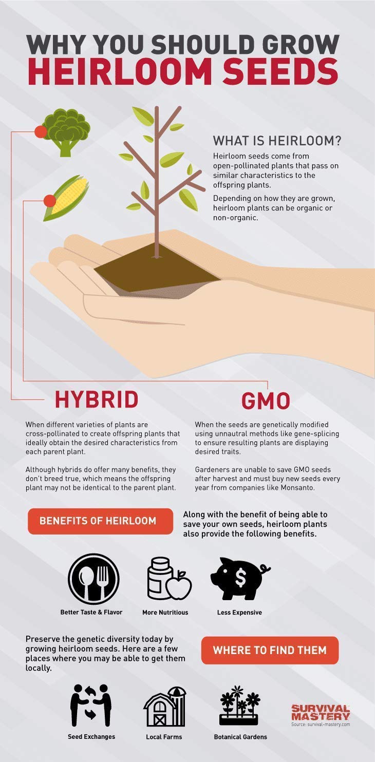 Valley Greene seeds storage tips highlight viability and sell-by dating for gardener planning.