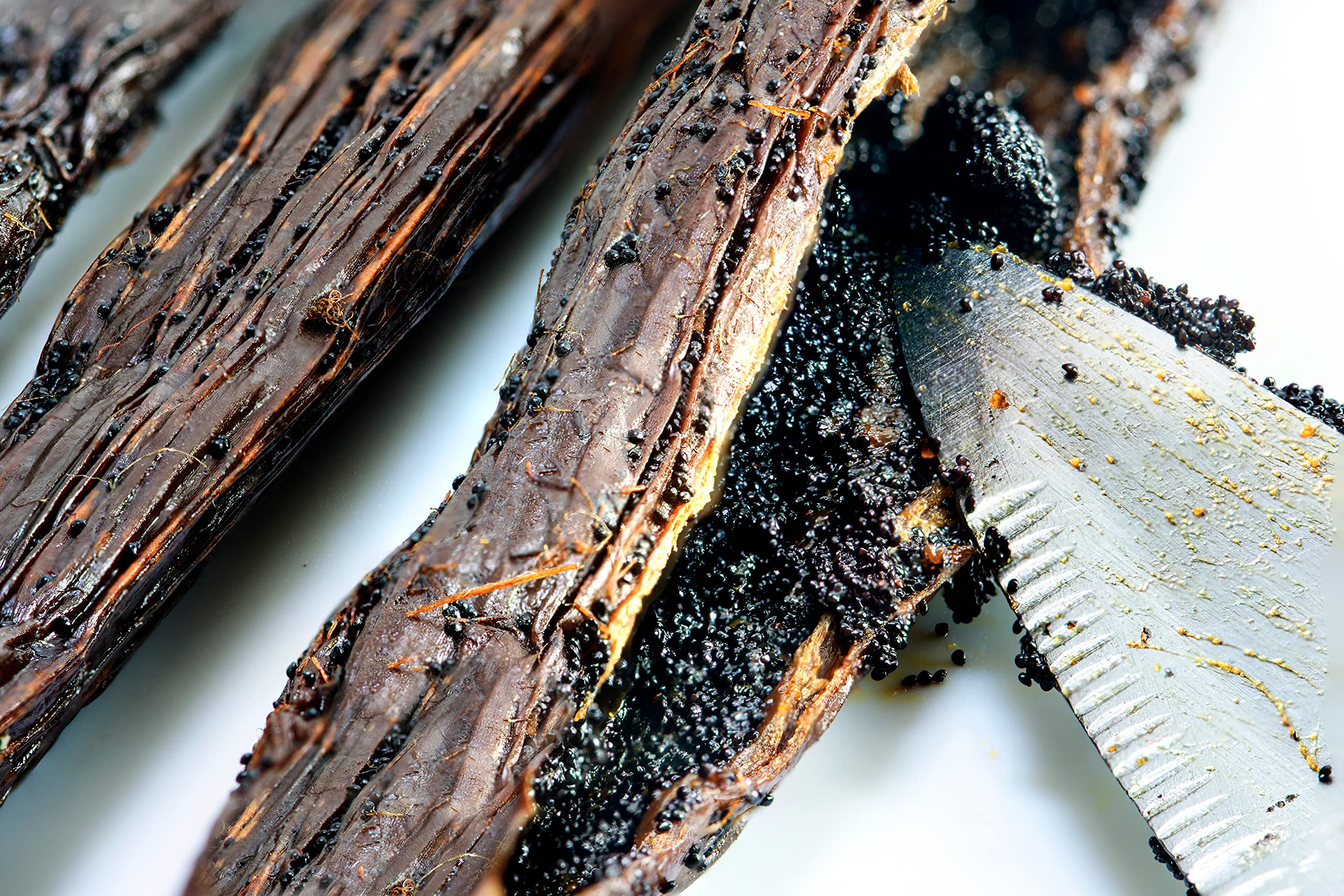 Vanilla Bean Kings Madagascar vanilla beans in pod, signaling authentic flavor base.