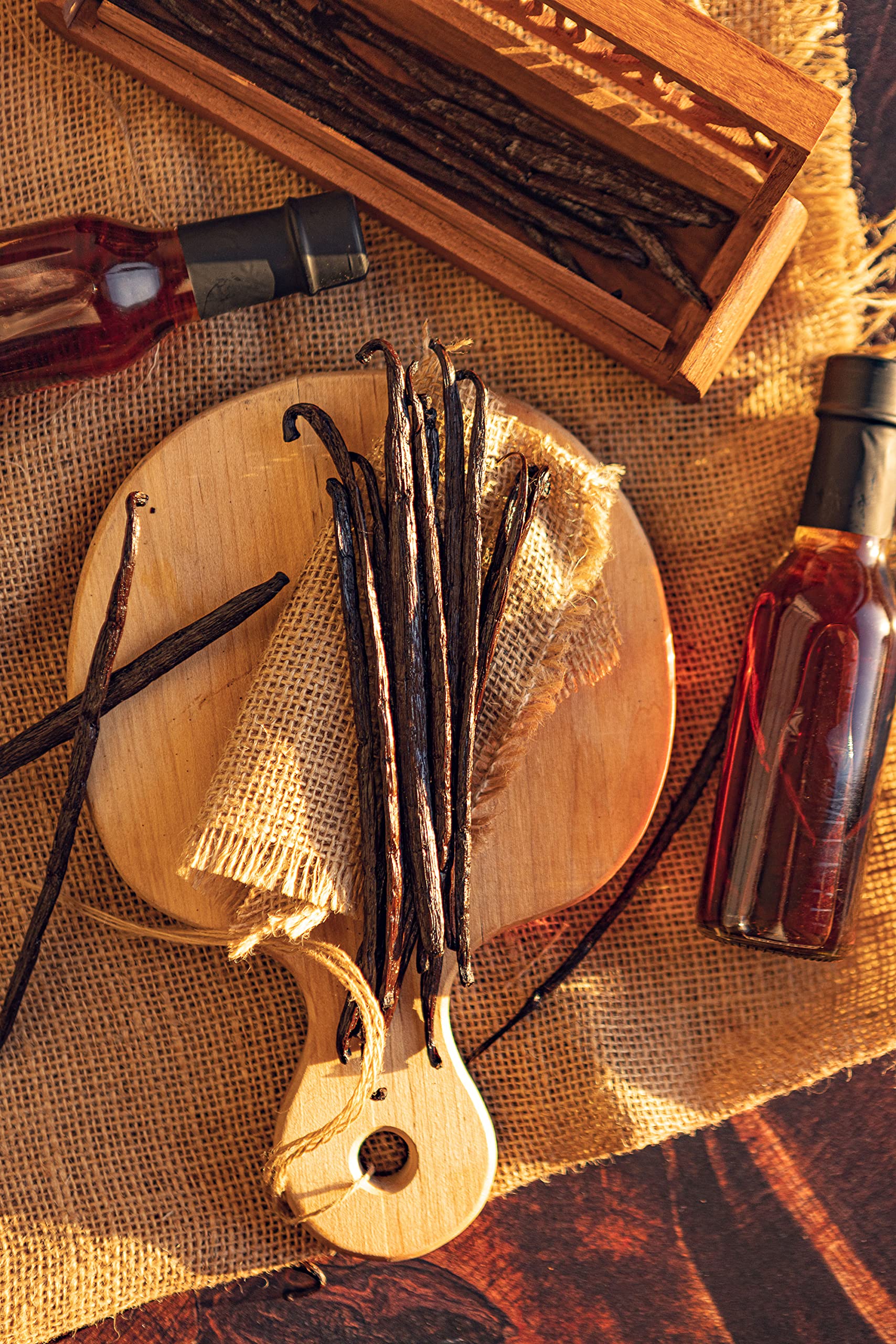 Vanilla Bean Kings quality control inspection ensures consistent size and aroma.