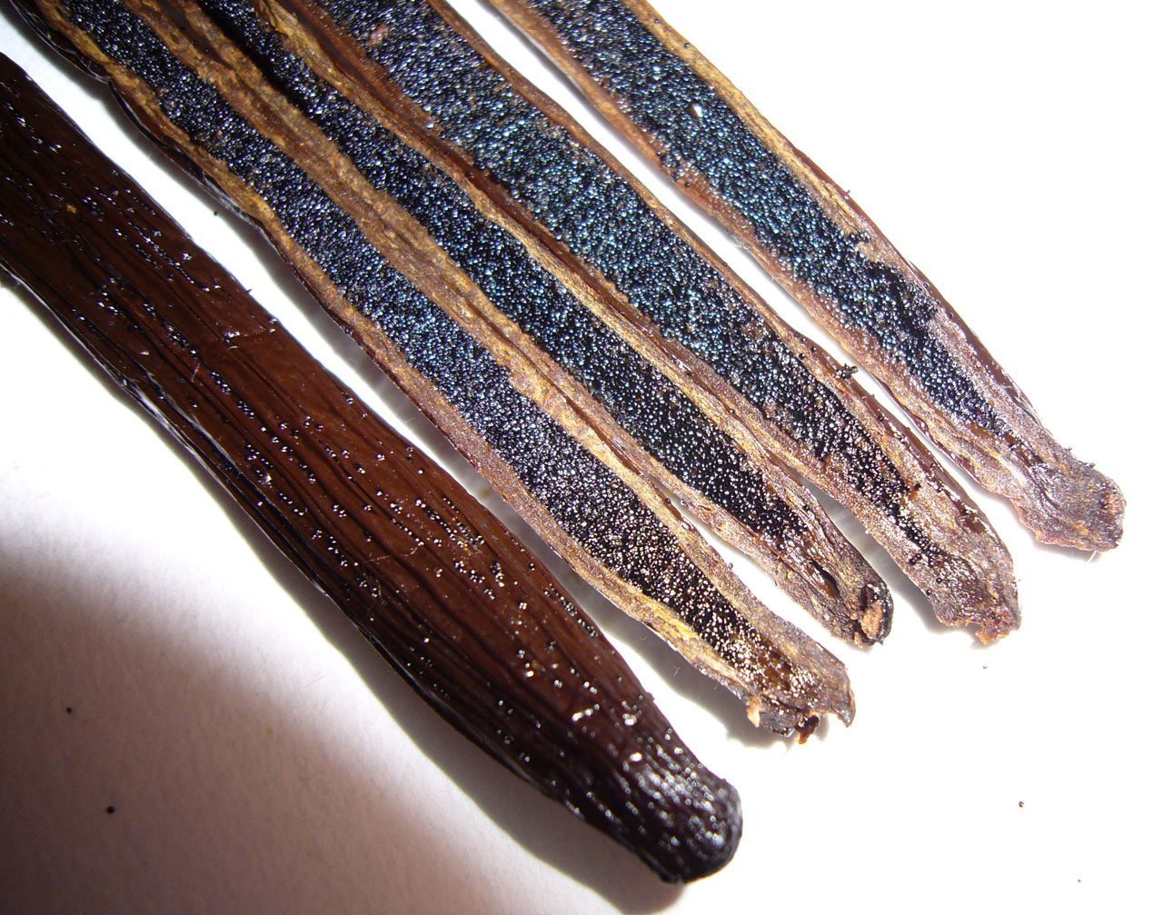 Close-up aroma of Madagascar vanilla from Vanilla Bean Kings.
