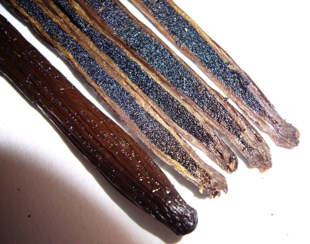 Close-up aroma of Madagascar vanilla from Vanilla Bean Kings.