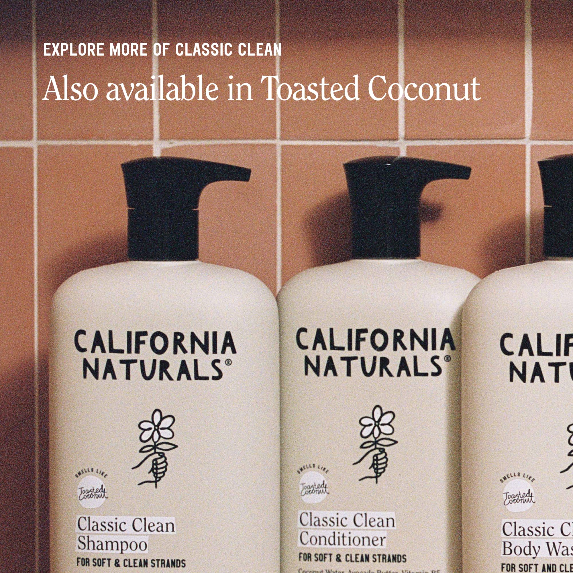 Vanilla Bloom product packaging flatlay showcasing eco-friendly materials.