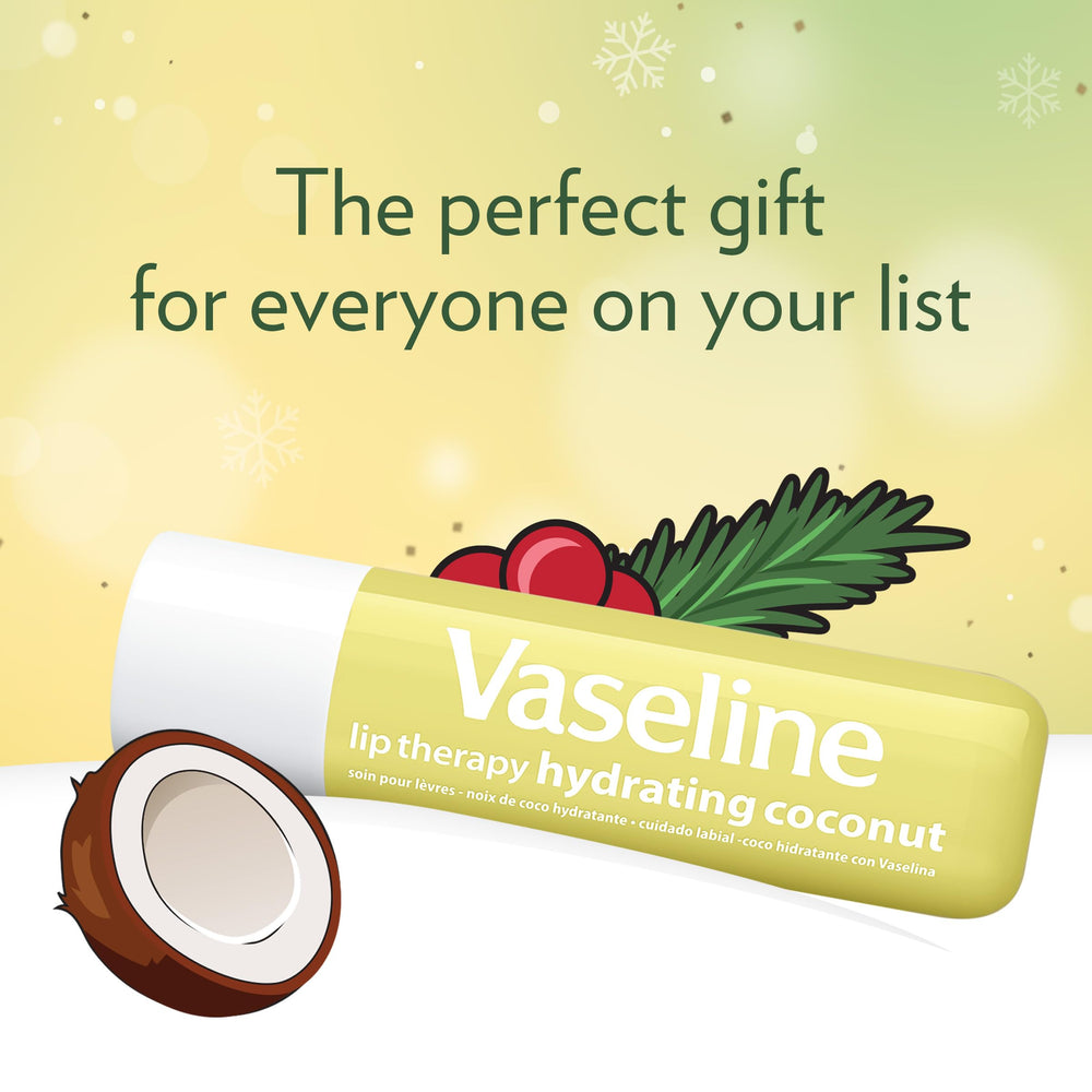 Vaseline Lip Therapy Holiday Coconut Macaroon twin-pack shown as assembly
