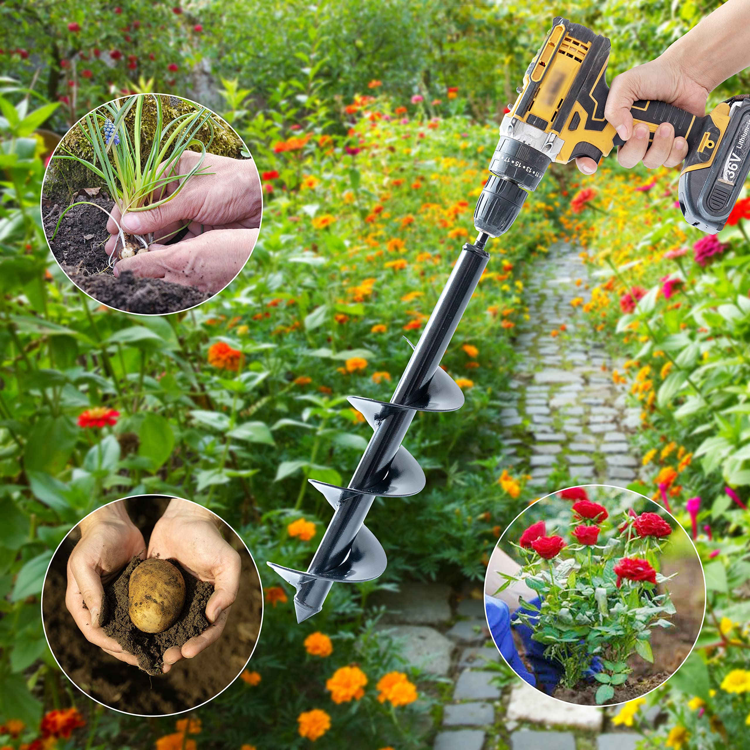 VASGOR auger weeds near roots for efficient weeding