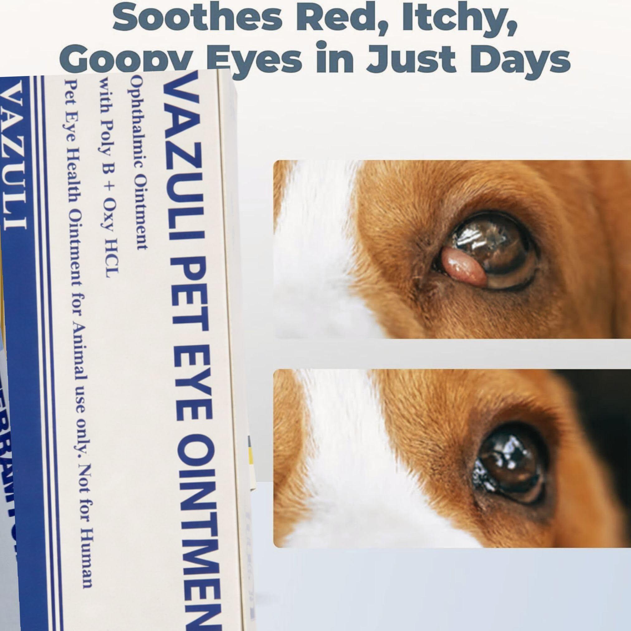 VAZULI Pet Eye Cream near the eye area during routine care