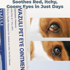 VAZULI Pet Eye Cream near the eye area during routine care