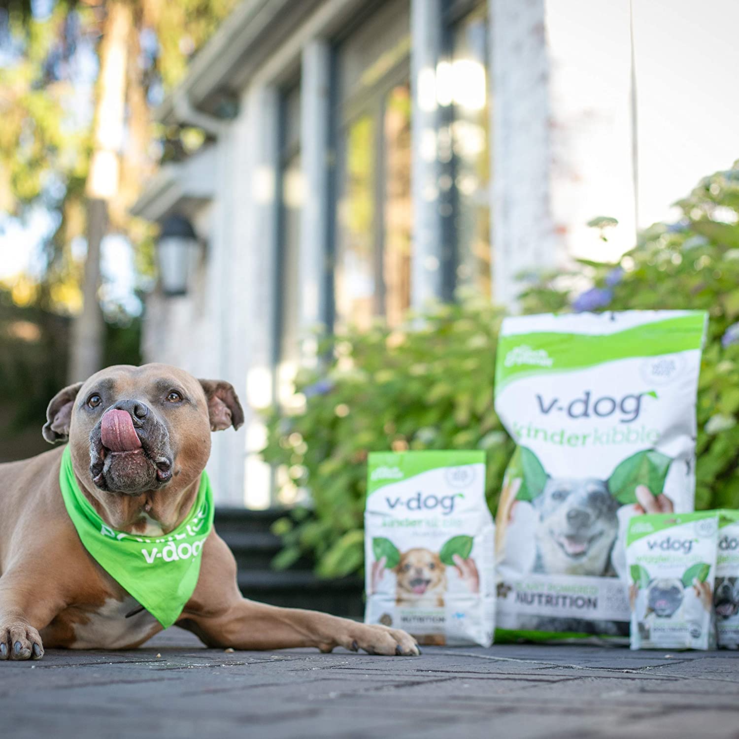 Transition tips for switching to V-dog Kind Kibble