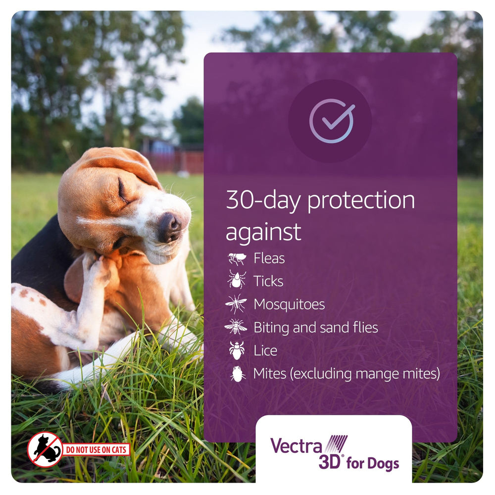 Vectra 3D being applied on a large dog's back for flea tick and mosquito defense