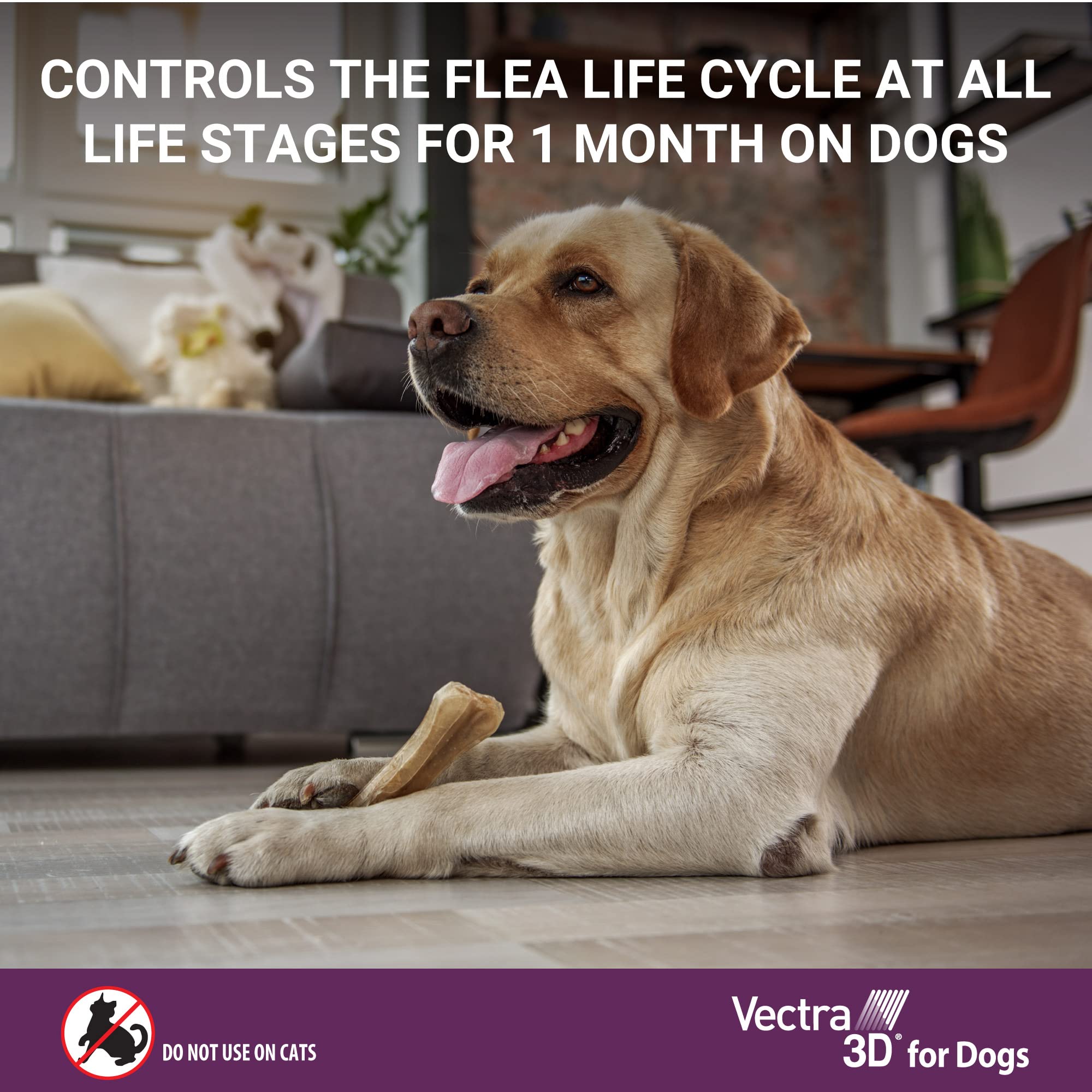 Vectra 3D monthly-dog treatment supports simple routine for large breeds