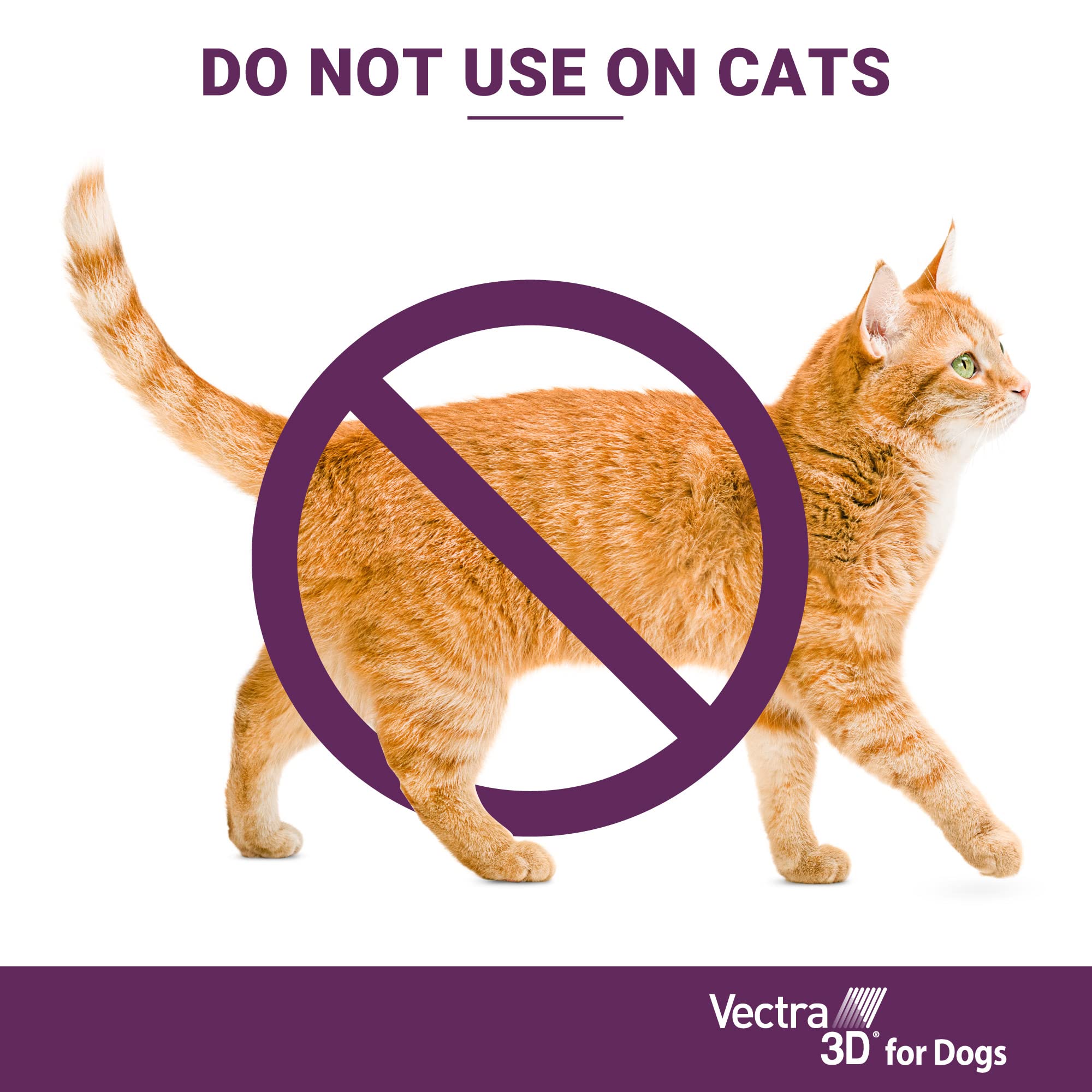 Vectra 3D outdoor-life protection during walks and park outings