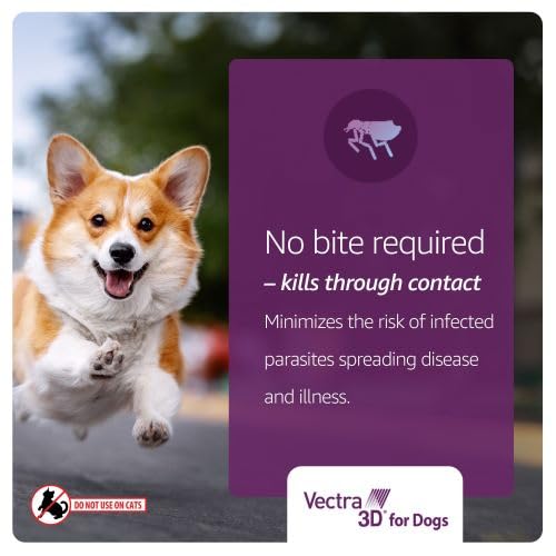 Vectra 3D non-greasy-dry-application aids comfortable coat after use.
