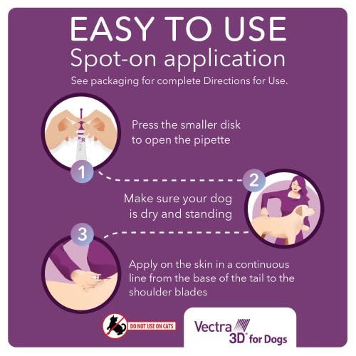 Outdoor scene with a large dog and flea tick mosquito protection icons