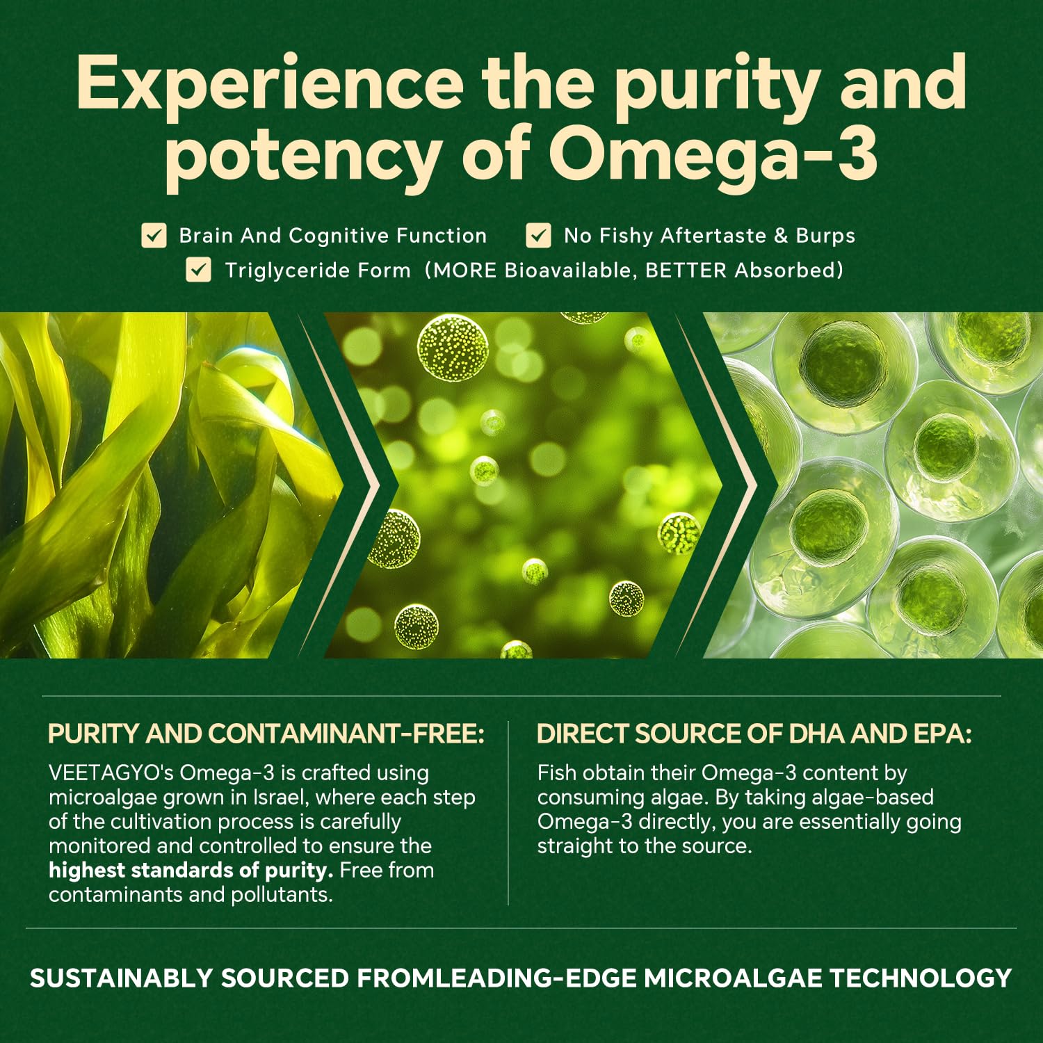 Close view of DHA and EPA portions in VEETAGYO gummies for daily support.