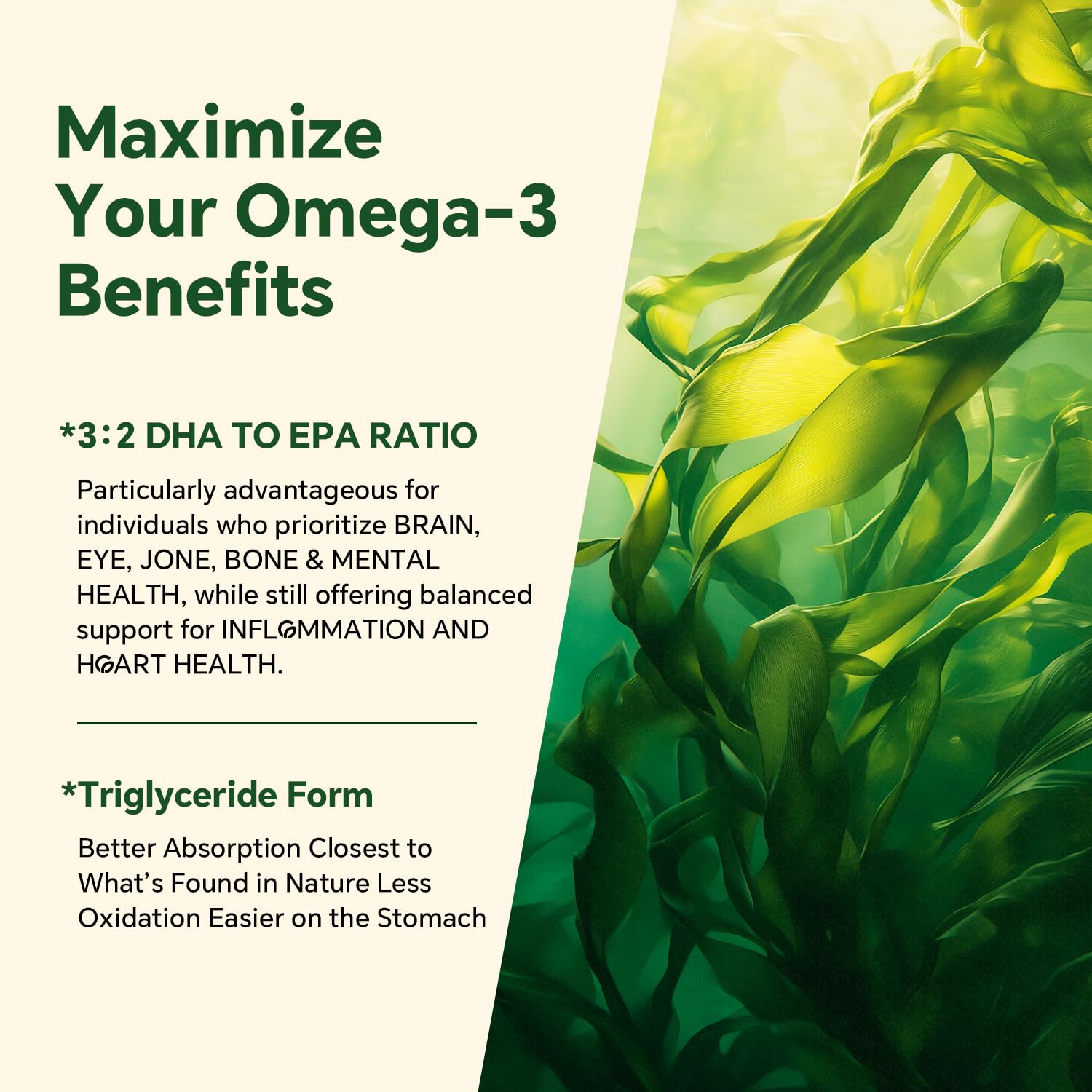 Hands holding VEETAGYO gummy, easy daily bite for vegan omega-3.
