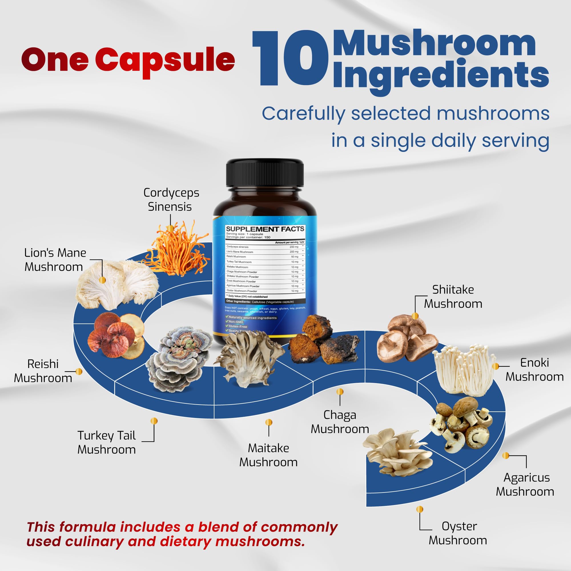 VEGATOT capsules close-up highlighting potent mushroom blend for cognitive support