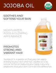 Velona Jojoba Oil cold-pressed golden bottle for hydration and balance