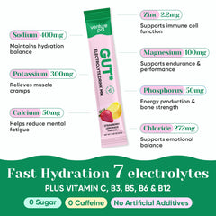 Venture Pal 16 sticks on-the-go pack for travel hydration.